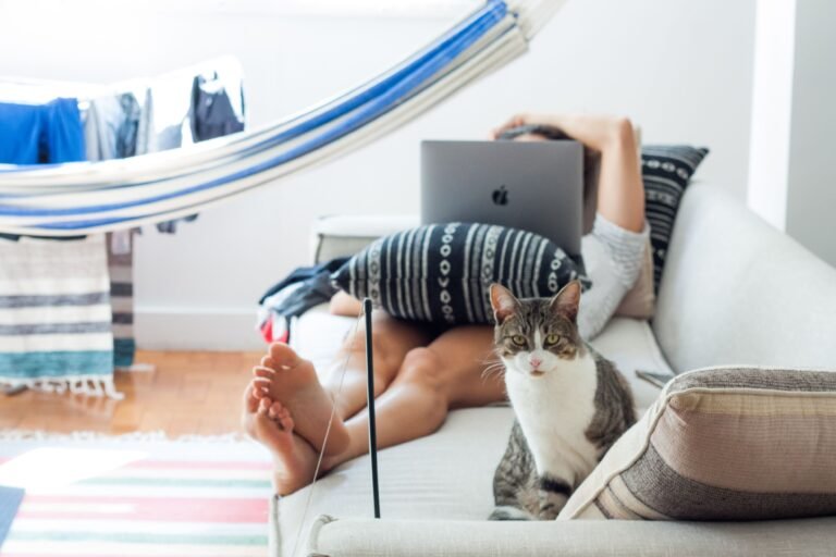 A domestic cat sitting beside a person relaxing on a sofa