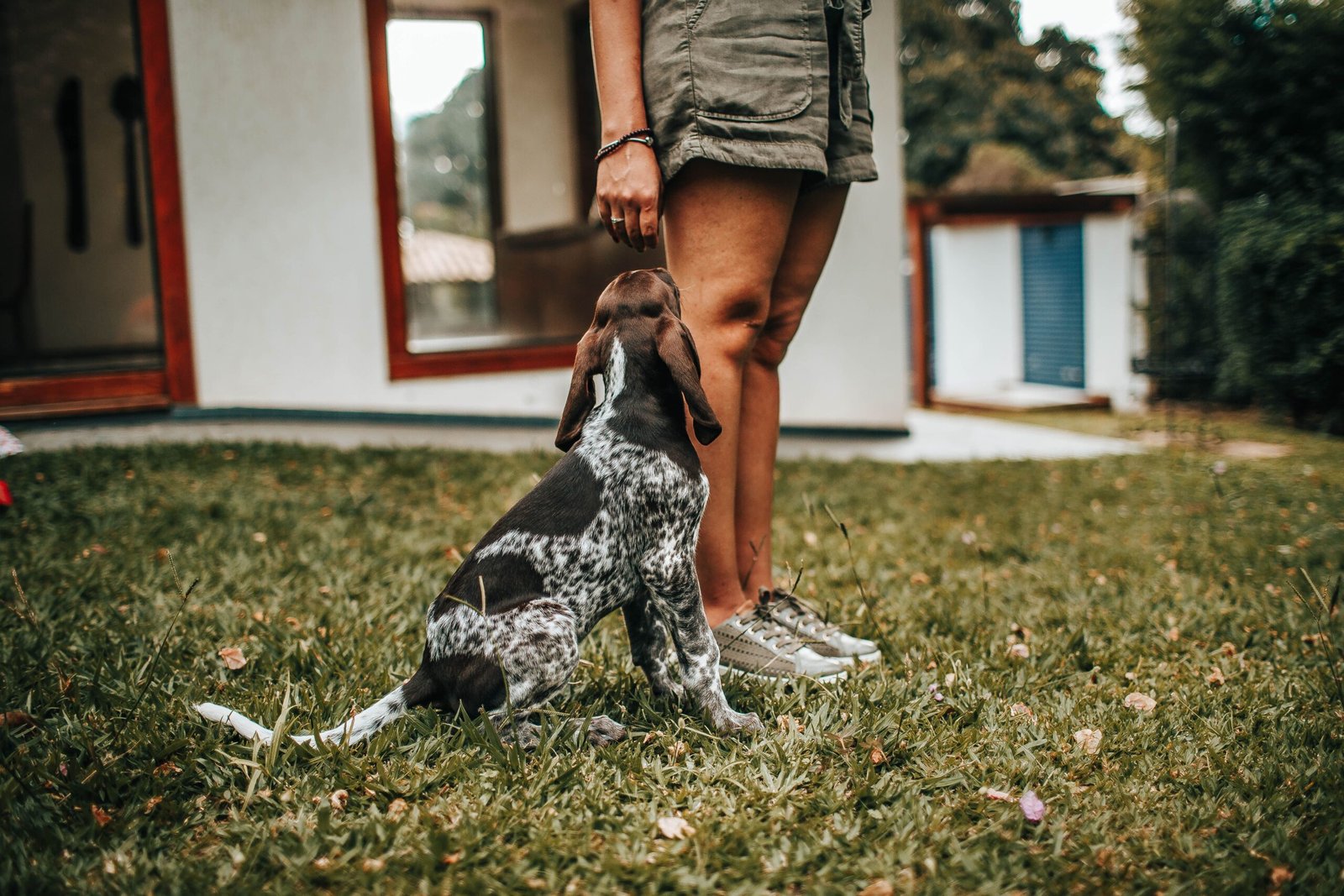 A person standing with a puppy on grass in a backyard