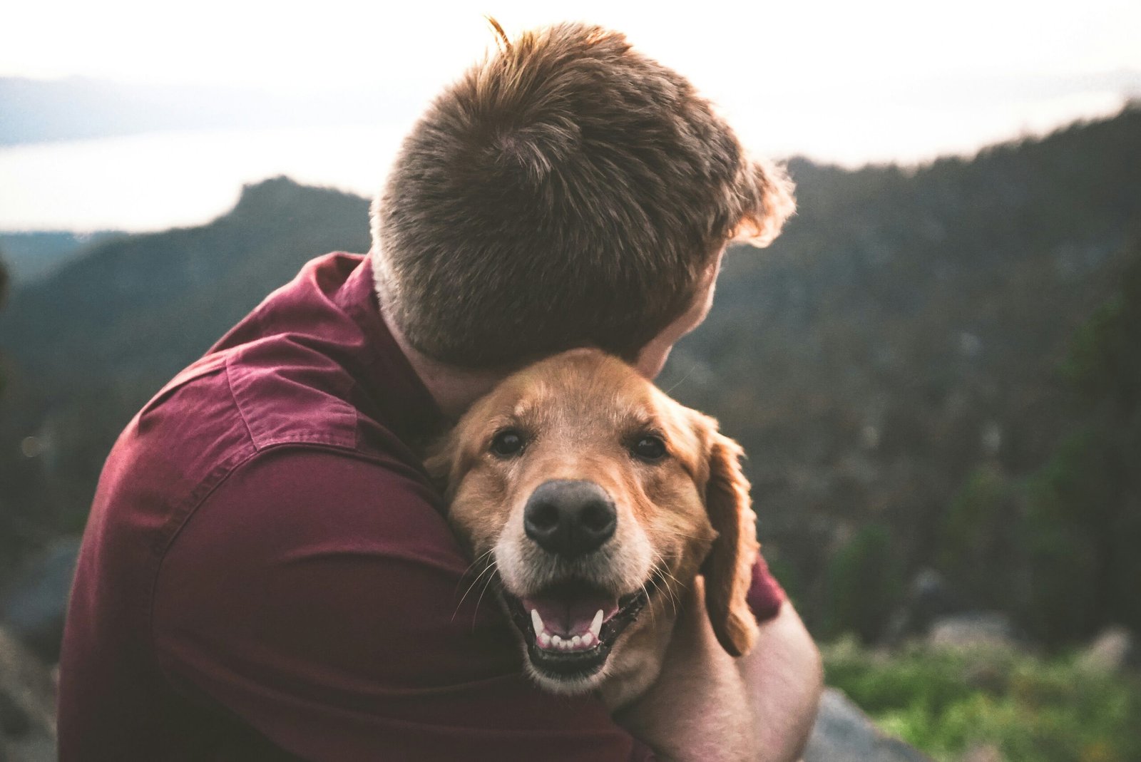 Man hugging a happy tan dog