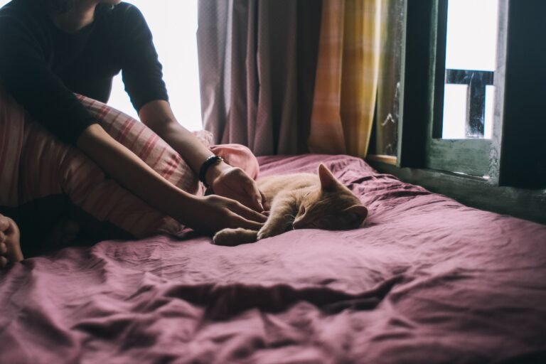Woman relaxing on a bed beside her sleeping cat