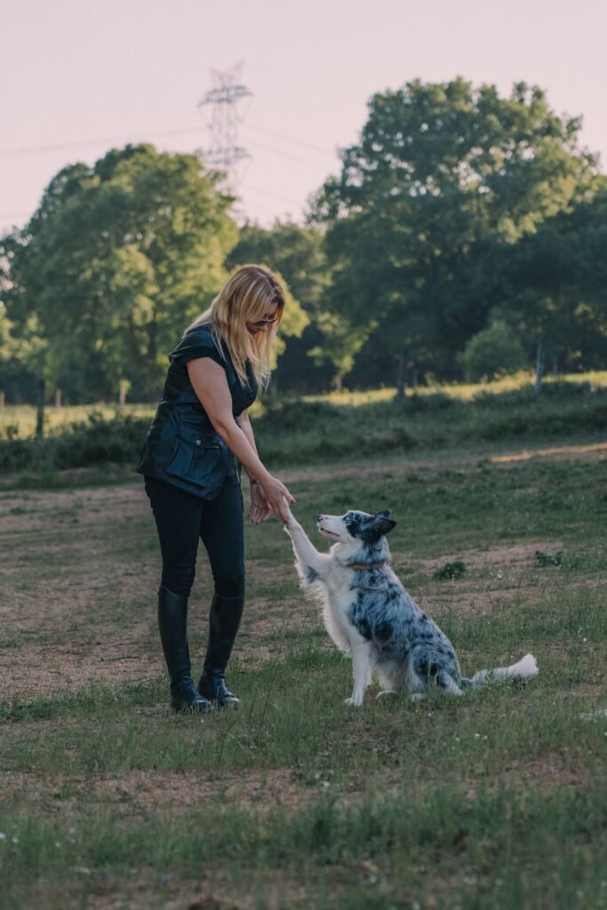 Trainer rewarding a dog in a park