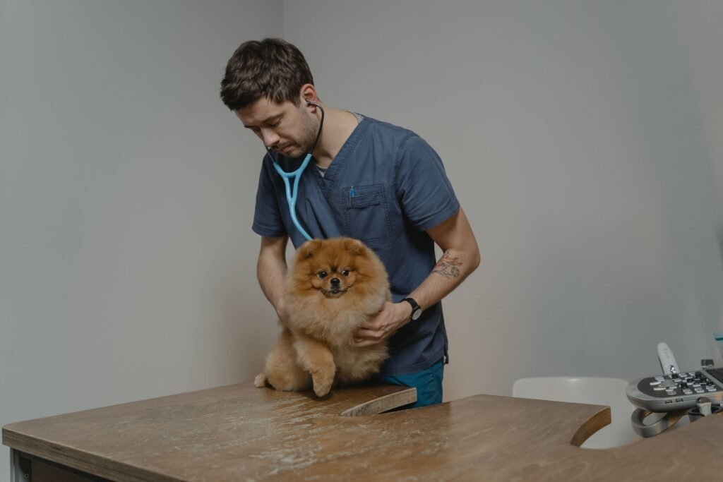 A dog at the clinic with a veterinarian