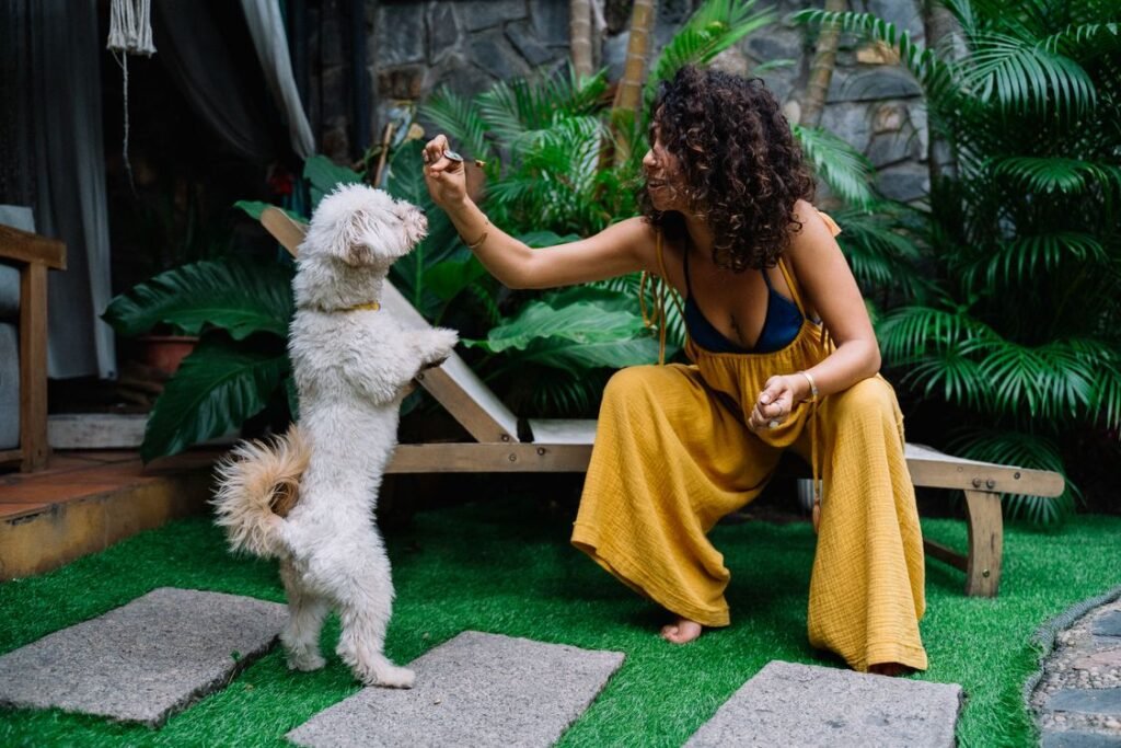 Woman training a white dog outdoors on green grass