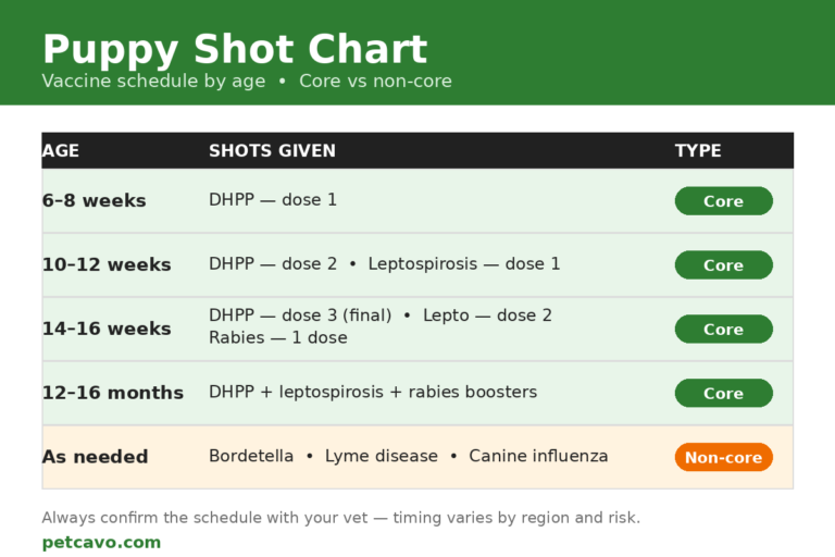 Puppy shot chart: vaccine schedule by age from 6 weeks to 16 months