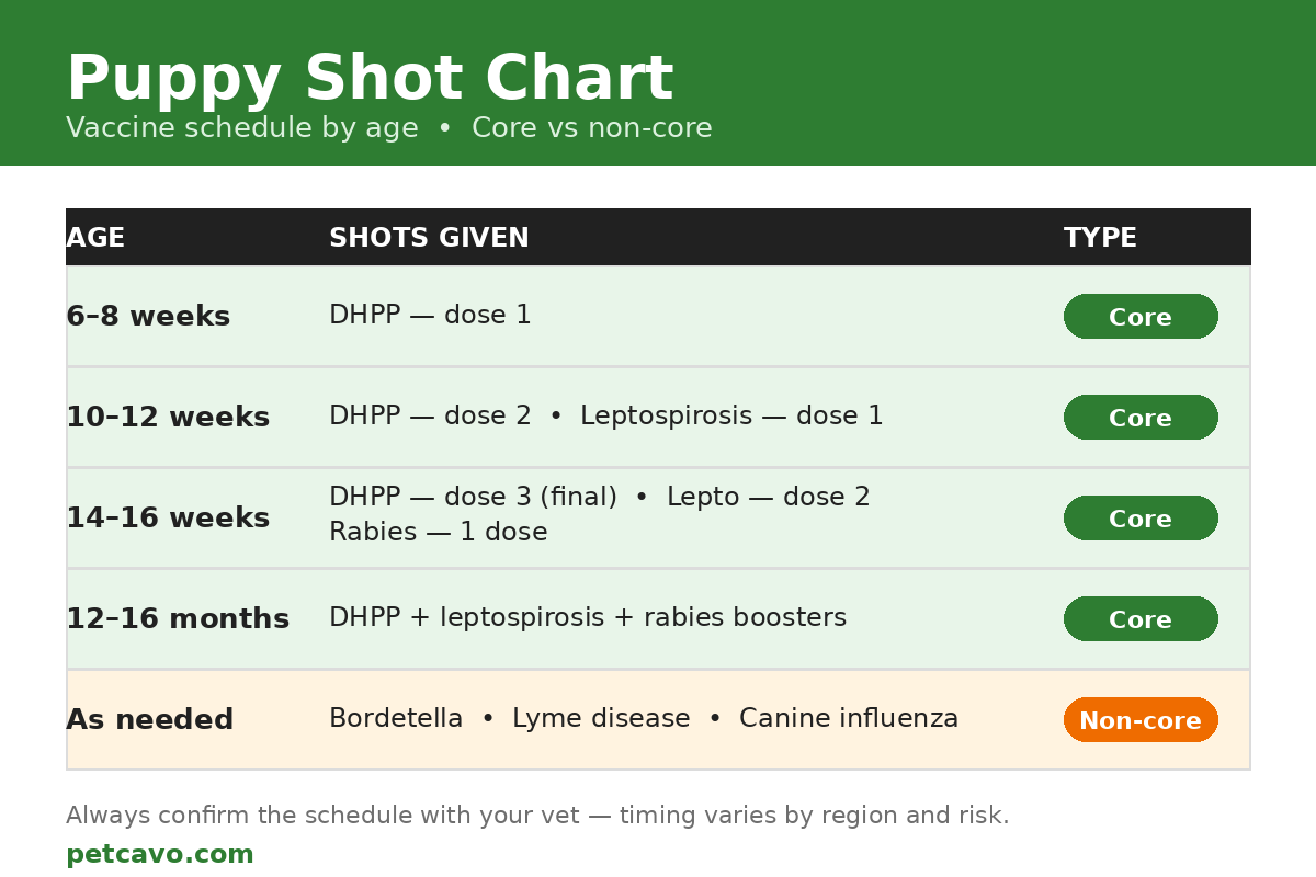 Puppy shot chart: vaccine schedule by age from 6 weeks to 16 months