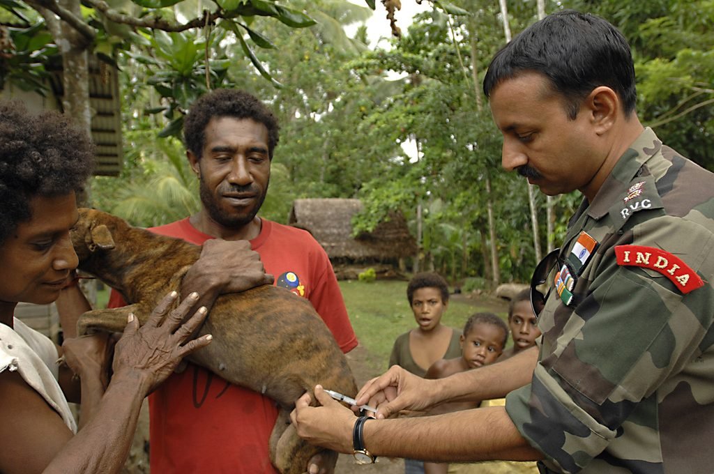 Service member vaccinating a dog during a rabies vaccination drive