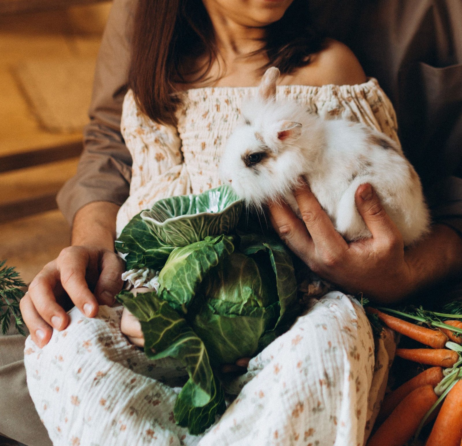 Can Rabbits Eat Cabbage? Yes, But Read This First