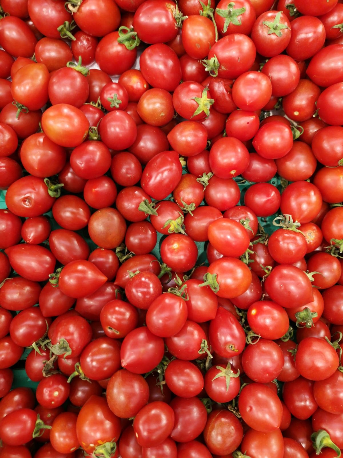 Pile of ripe red cherry tomatoes