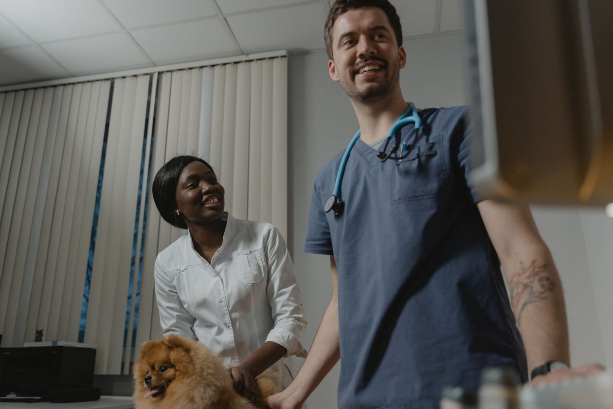 Veterinarian examining a pet at the clinic